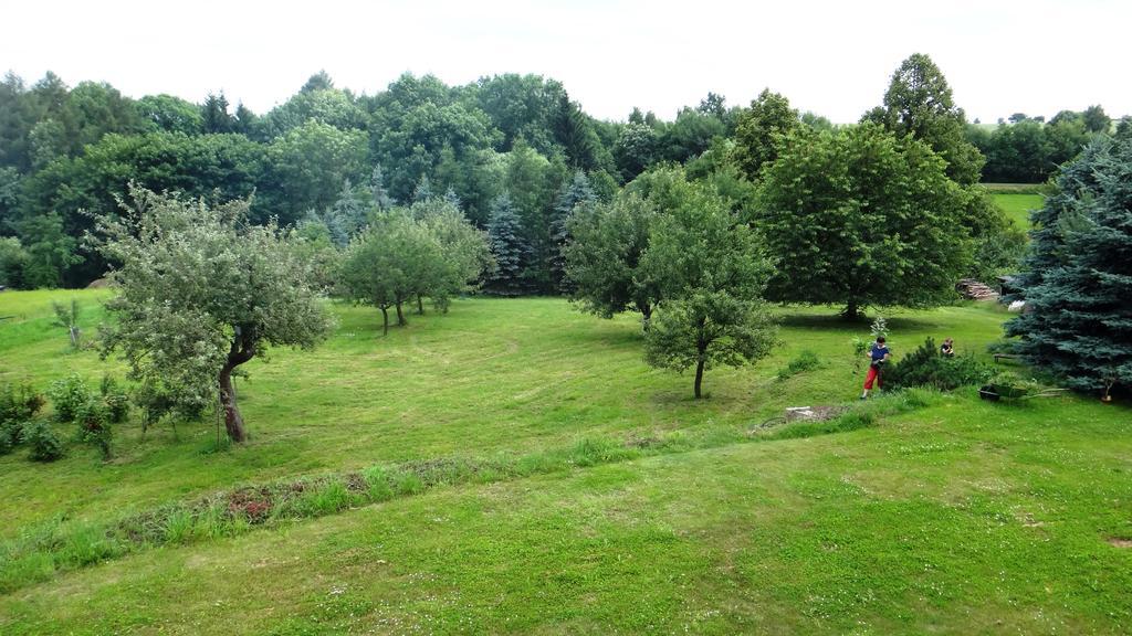 Prazdninovy Dum - Pacl Cervena Recice Villa Kamer foto